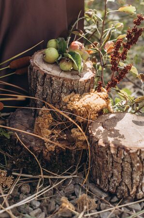 Decorative wooden hemp with apples as decoration in the decor on the holiday.の写真素材