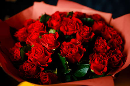Bouquet of red roses on a dark background.の写真素材