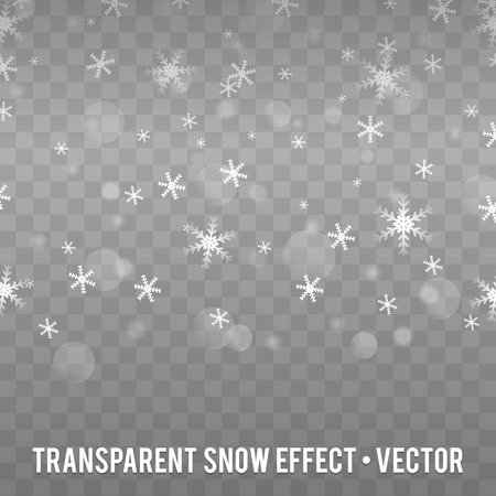Realistic falling Snowflakes. Isolated on transparent Background.のイラスト素材