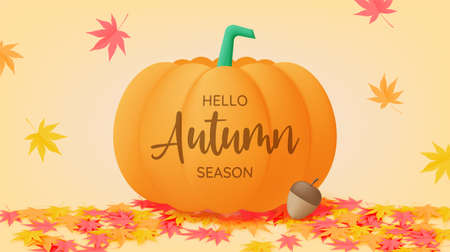 Pumpkins with autumn leaves background vector illustrationのイラスト素材
