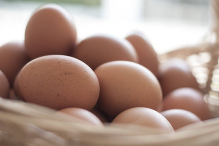 Chicken eggs in Basketの写真素材