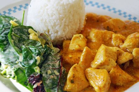 Chicken korma with steamed rice and saladの写真素材