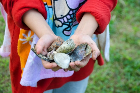 A girl with sea shells in her handsの写真素材