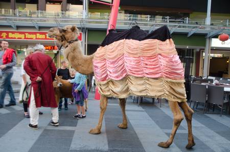 Multicultural Festival, 17th August 2013, 5 pm  to 10 pm , Chinatown, Brisbane, Australiaのeditorial素材