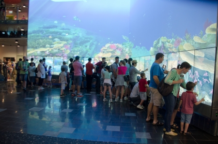 Robot show;  a free event for all ages at QUT s new Science and Engineering Centre , George St ,on Sunday, August 18,2013, at 11am  - 7 pm のeditorial素材