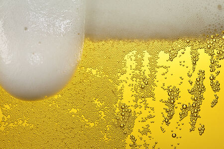 Bubbles and foam in a beer