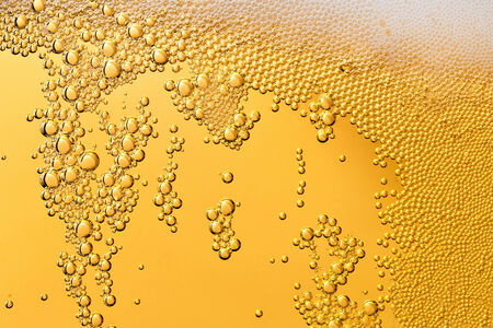 Bubbles and foam in a beerの写真素材