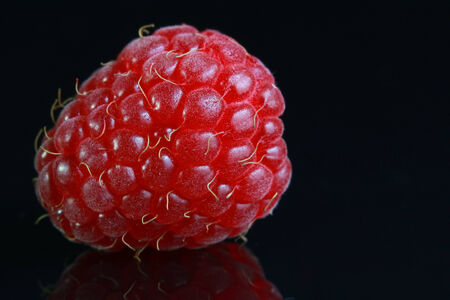 Raspberryの写真素材