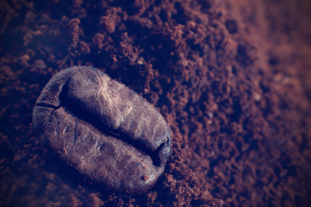 Coffee bean on the ground coffeeの写真素材