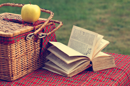 Picnic basket and book on the grassの写真素材