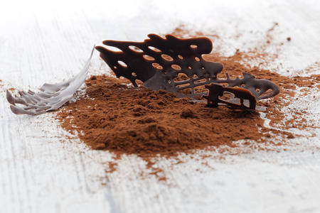 Cacao powder and dark chocolate on a wooden tableの写真素材