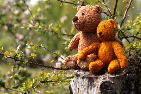 Little teddy bear sits back in the summer gardenの写真素材