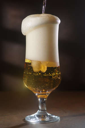 Beer.Pint of Beer close up isolated on abstract background. Cold Craft light Beer in a glass