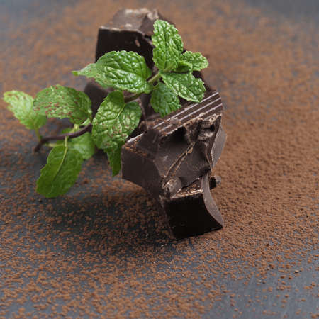 Broken dark chocolate and cocoa powder on a table