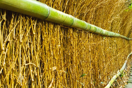 bamboo fence Kyotoの写真素材