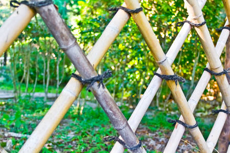 fenceの写真素材