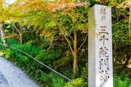 Ohara sanzeninのeditorial素材