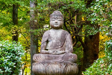 Buddha statueの写真素材