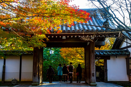 Ryoanji Kyotoのeditorial素材