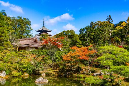 Ninna-ji Temple Kyotoのeditorial素材