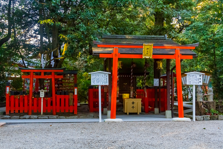 Under the Kamigamo Jinja Kyotoのeditorial素材