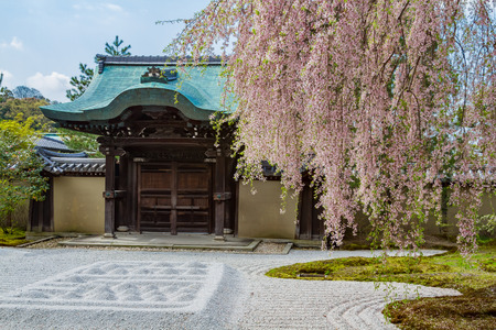 Kyoto cherry blossoms Hill Temple