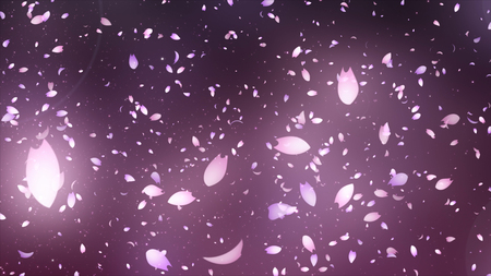 petals of cherry blossomの写真素材