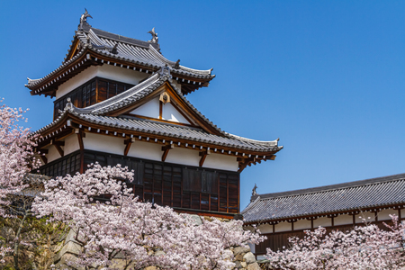 Koriyama Castle Naraのeditorial素材