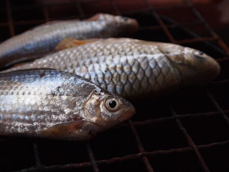 Fresh fish on a grill 
