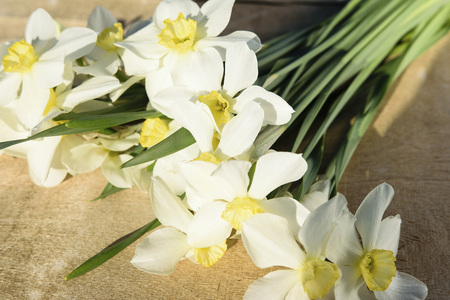 A bouquet of white flowers of daffodils lies on an old wooden table. In the gardenの写真素材