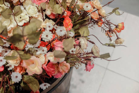 Colorful flowers in a dozenの写真素材