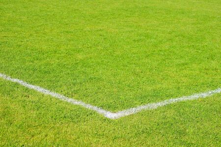 Football turf                   の写真素材