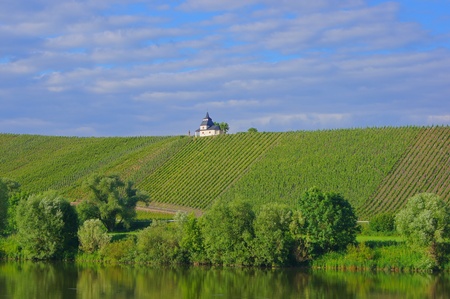 Vineyard with chapel at the Moselle in Germanyの写真素材