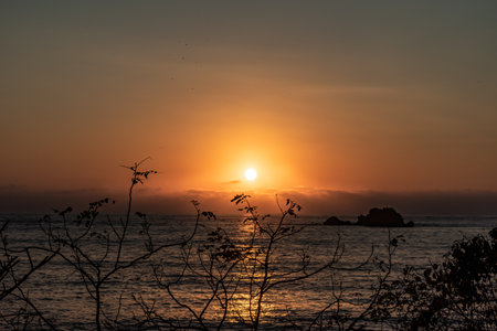 Sunset on the beach of Ixtapa Zihuatanejoの写真素材