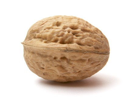 close up of walnut on white background with path, shadow not includedの写真素材