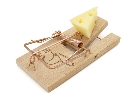 close up of mousetrap with cheese on white background with path