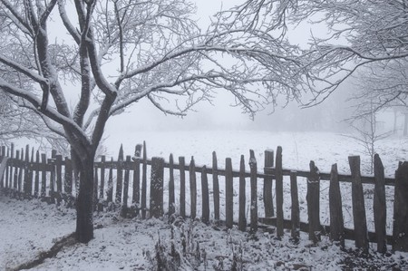 landscape of field covered with snowの写真素材