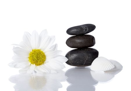 well being concept with flower, stones and shells on white backgroundの写真素材