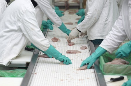 close up of poultry processing in food industryの写真素材