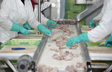 close up of poultry processing in food industry