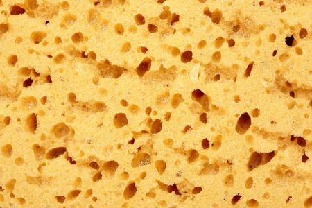 close up of  a beauty sponge backgroundの写真素材