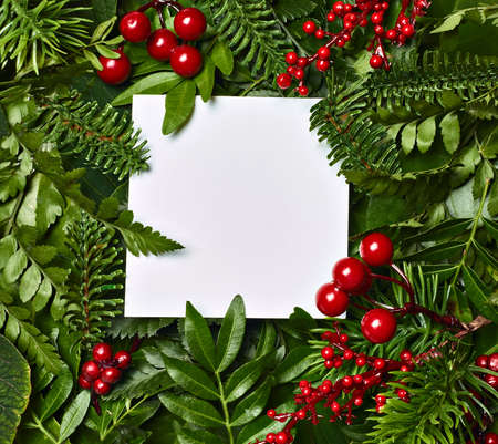 Close up of a note paper invitation card flat lay in floral environment, nature concept
Creative layout made of flowers and leaves. Floral Greeting cardの写真素材