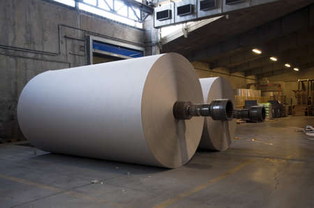 Paper and pulp mill plant - Rolls of cardboard and unfinished paperの写真素材