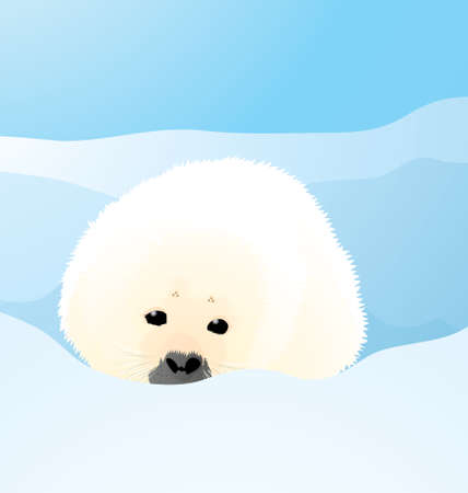 Vector Illustration of Arctic Seal on the sea shore in the ice landのイラスト素材