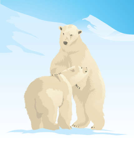 Vector Illustration of Polar Bears playing in the snow in the antarctic.のイラスト素材