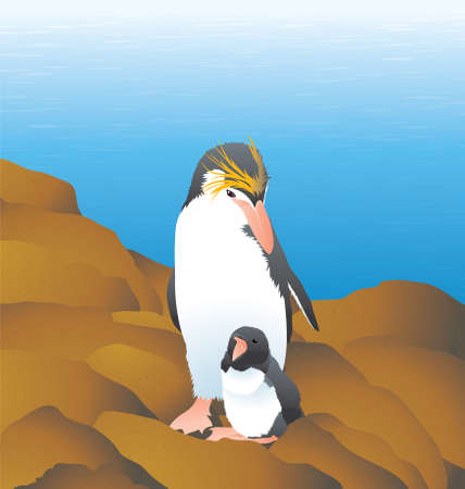 Vector Illustration of arctic penguin on the sea shore on the ice berg.のイラスト素材