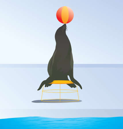 Vector Illustration of an arctic seal playing with ball sitting on an circus chairのイラスト素材