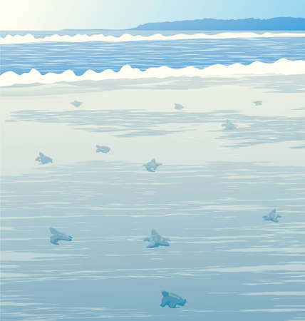 Vector Illustration of sea turtle swimming in the open oceanのイラスト素材