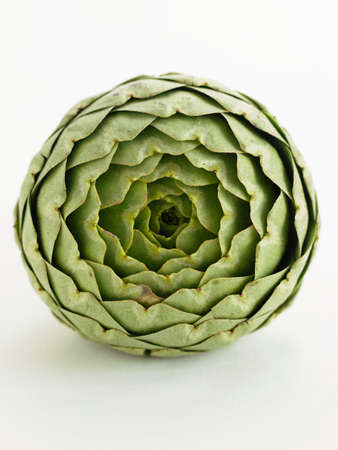 Green artichoke isolated in white with flower facingの写真素材