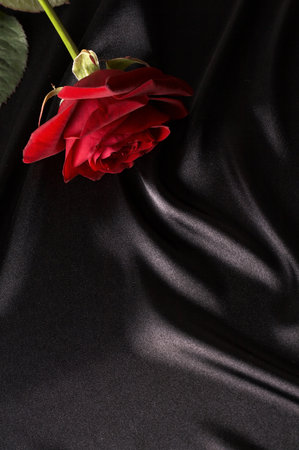 beautiful red rose on black satinの写真素材